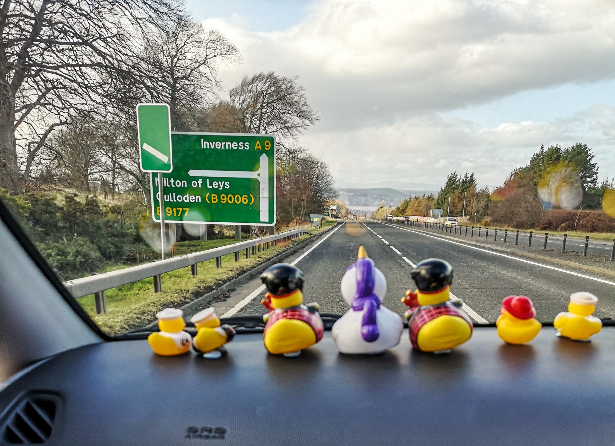 Dash Board Ducks to Inverness